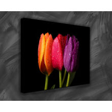 Gallery Wrap stretched framed flowers painting gifts